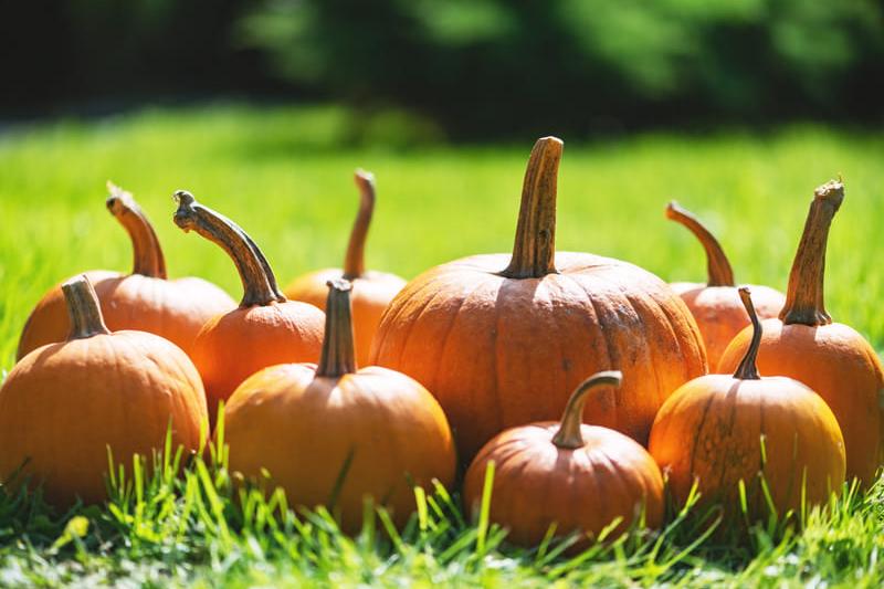 Ratgeber Oktober