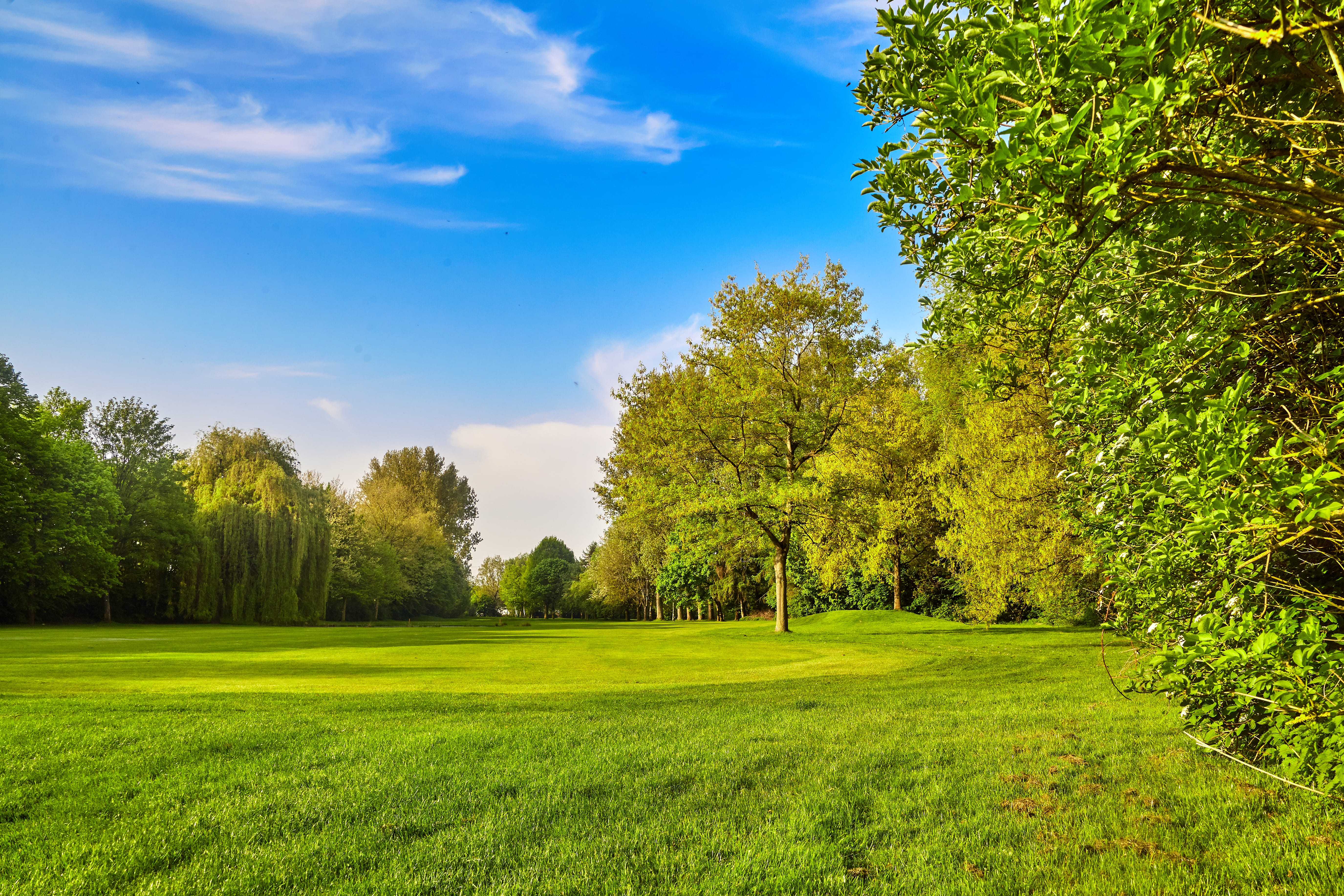 Bezirksamt Hamburg Mitte 